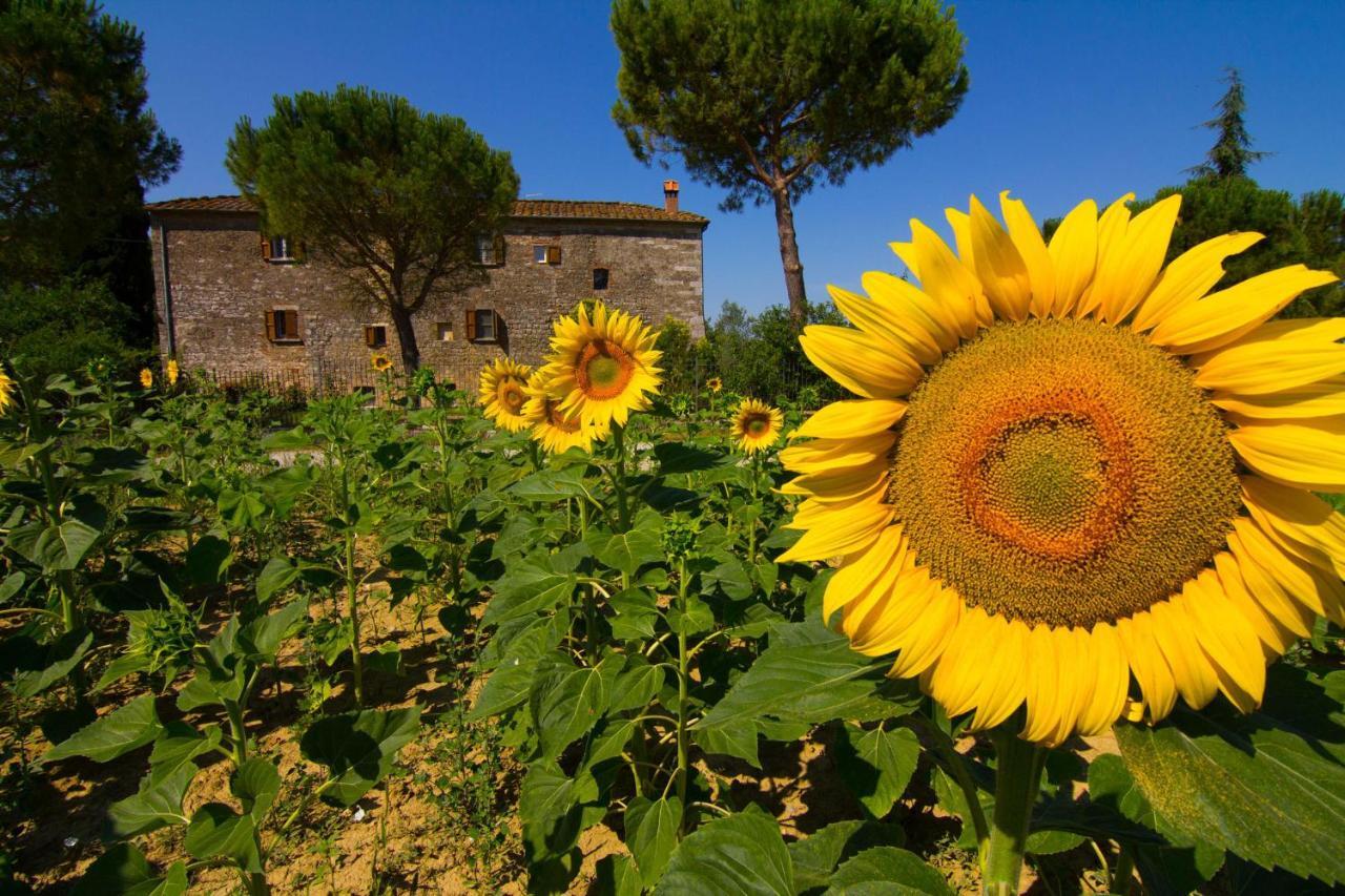 B&B Il Molinello Asciano Exterior foto